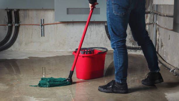 Best Water damage cleanup near me  in Legend Lake, WI