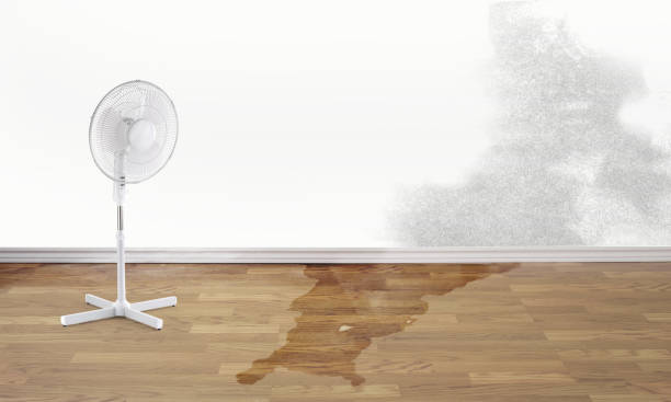 Best Residential water damage restoration  in Legend Lake, WI