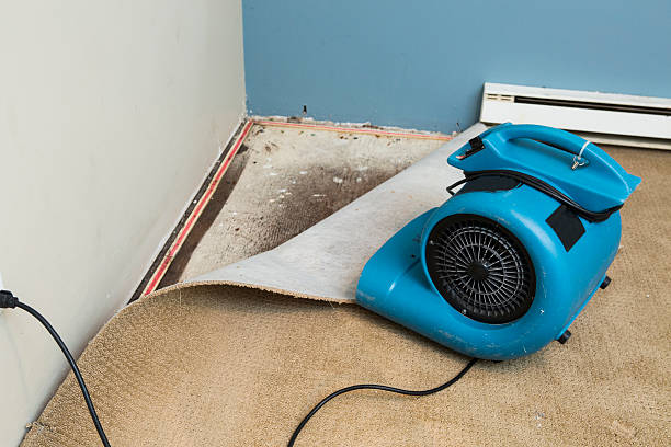Best Carpet water damage restoration  in Legend Lake, WI